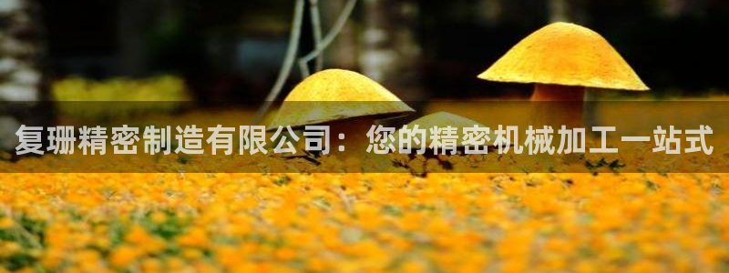 彩神xapp官方网站：复珊精密制造有限公司：您的精密机械加工一站式