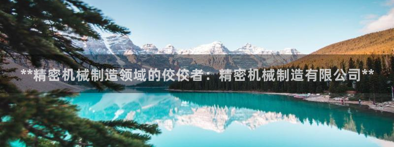 彩神客服电话：**精密机械制造领域的佼佼者：精密机械制造有限公司**
