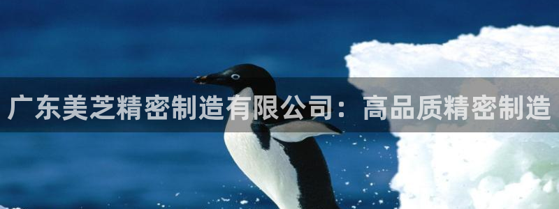彩神是真的吗：广东美芝精密制造有限公司：高品质精密制造