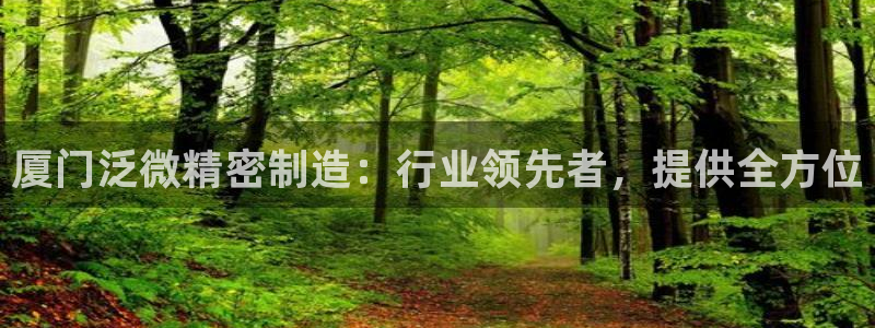 彩神vip购彩大厅在哪：厦门泛微精密制造：行业领先者，提供全方位