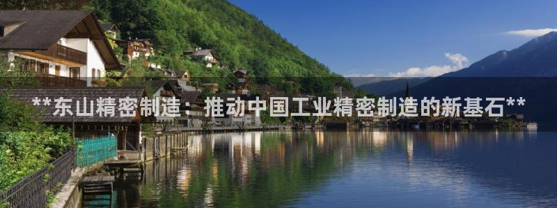 彩神vip购彩大厅：**东山精密制造：推动中国工业精密制造的新基石**