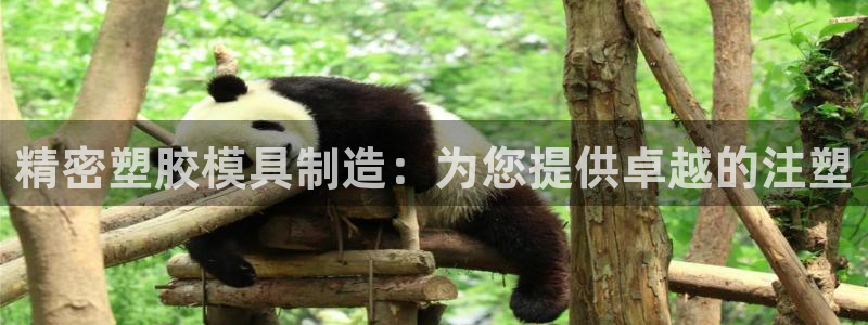 彩神v8首页：精密塑胶模具制造：为您提供卓越的注塑