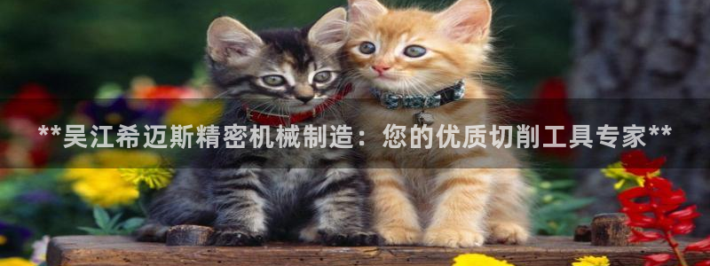 彩神VI首页：**吴江希迈斯精密机械制造：您的优质切削工具专家**