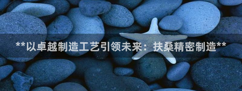 彩神邀请码:00-00-3267：**以卓越制造工艺引领未来：扶桑精密制造**