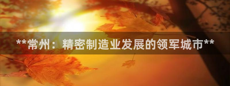 彩神天下专家专栏：**常州：精密制造业发展的领军城市**