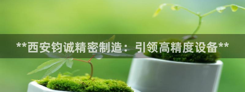 彩神购彩-购彩大厅入口下载：**西安钧诚精密制造：引领高精度设备**
