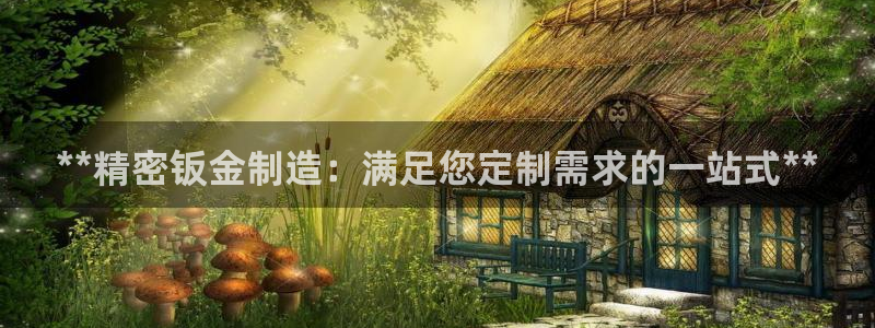 彩神v：**精密钣金制造：满足您定制需求的一站式**