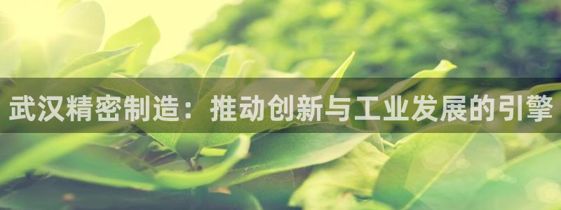 彩神8是正规平台吗安全吗