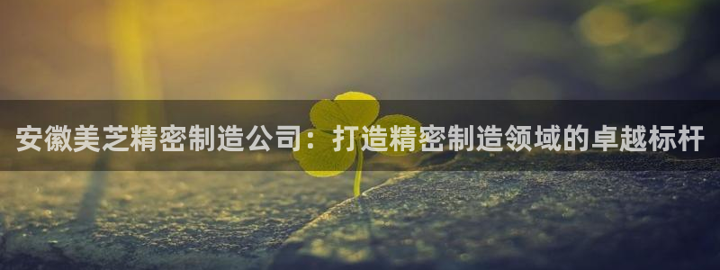 大发彩神最高邀请码：安徽美芝精密制造公司：打造精密制造领域的卓越标杆