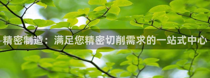 彩神是正规平台吗：精密制造：满足您精密切削需求的一站式中心