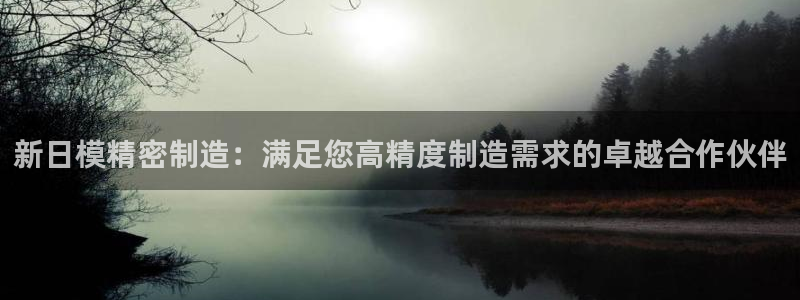 彩神V8有限公司：新日模精密制造：满足您高精度制造需求的卓越合作伙伴