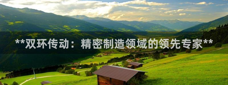 彩神购彩-购彩大厅入口500：**双环传动：精密制造领域的领先专家**