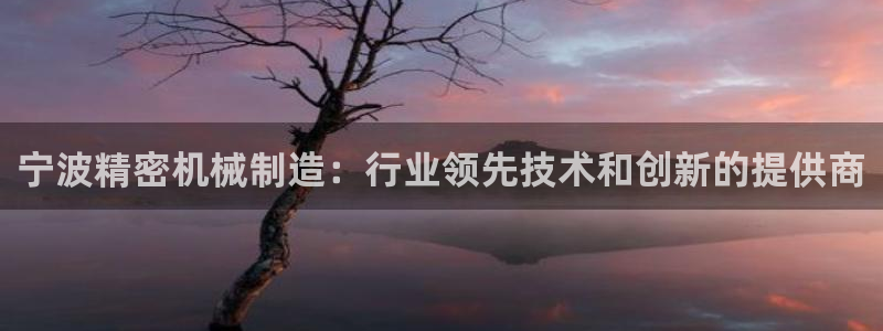 彩神旗下有哪些平台：宁波精密机械制造：行业领先技术和创新的提供商