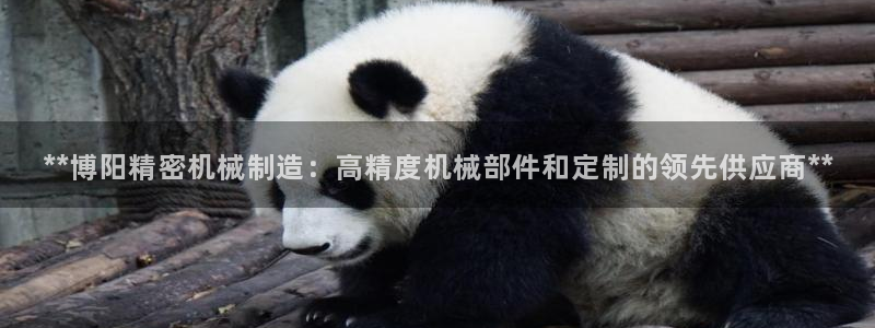 彩神可以提现吗
