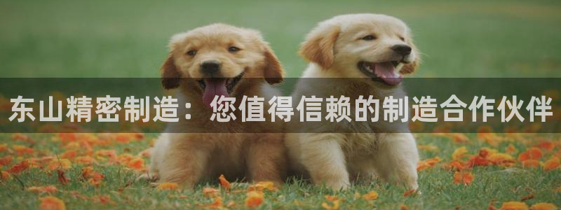 彩神v8官网版：东山精密制造：您值得信赖的制造合作伙伴