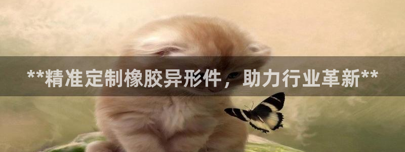 彩神v8购彩大厅登：**精准定制橡胶异形件，助力行业革新**
