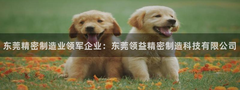 彩神是怎样一个平台赚钱的：东莞精密制造业领军企业：东莞领益精密制造科技有限公司