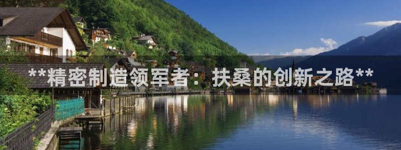 彩神大发是不是人为操作：**精密制造领军者：扶桑的创新之路**