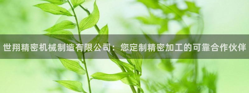 彩神vll首页企业文化：世翔精密机械制造有限公司：您定制精密加工的可靠合作伙伴