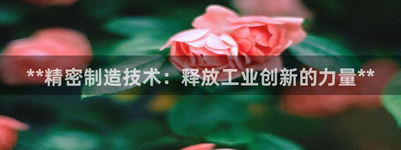 彩神争霸官方登录：**精密制造技术：释放工业创新的力量**