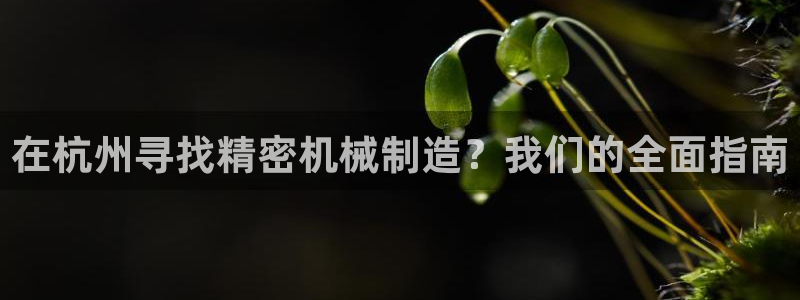 彩神v8是真的挣钱吗安全吗：在杭州寻找精密机械制造？我们的全面指南