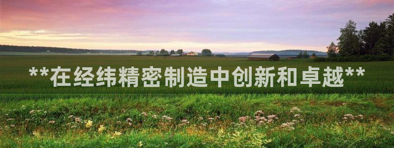 彩神vll趣投彩：**在经纬精密制造中创新和卓越**