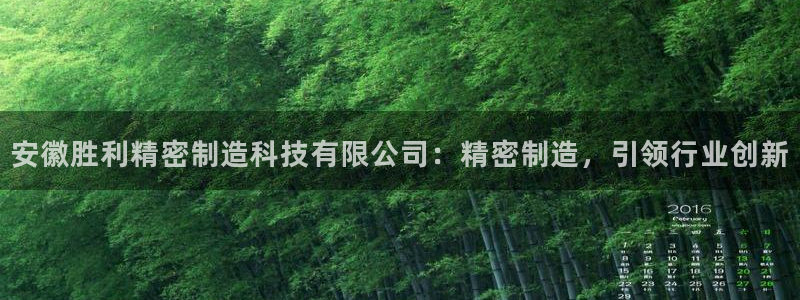 彩神8是正规平台吗安全吗：安徽胜利精密制造科技有限公司：精密制造，引领行业创新