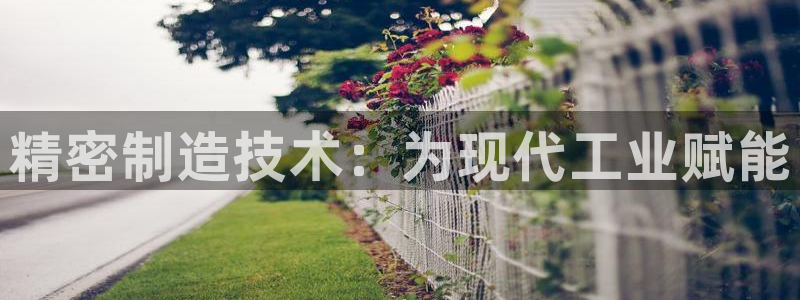 彩神平台能提现吗：精密制造技术：为现代工业赋能