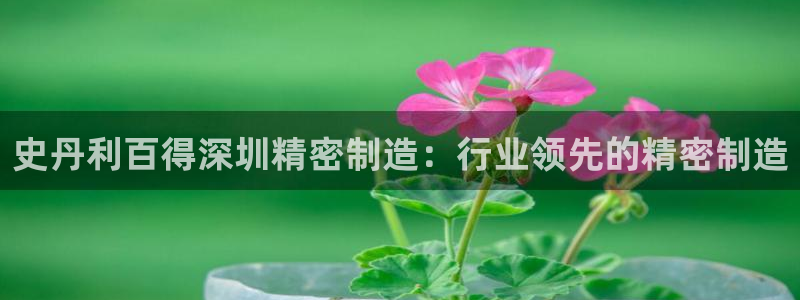 彩神vll官网在线登录：史丹利百得深圳精密制造：行业领先的精密制造