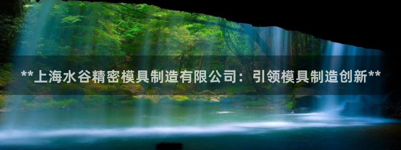 彩神旗下有哪些平台：**上海水谷精密模具制造有限公司：引领模具制造创新**