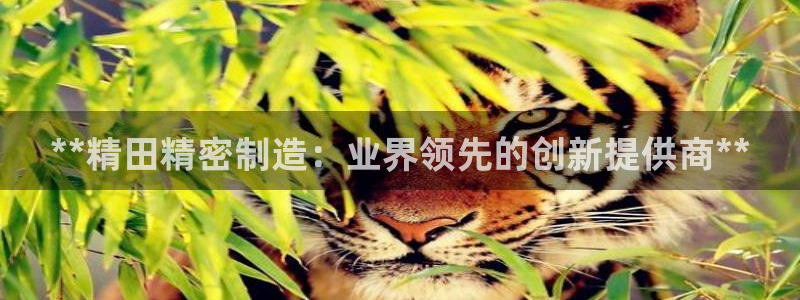 彩神怎么样可以提现：**精田精密制造：业界领先的创新提供商**