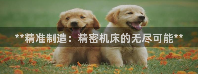 下载彩神通关注金码：**精准制造：精密机床的无尽可能**
