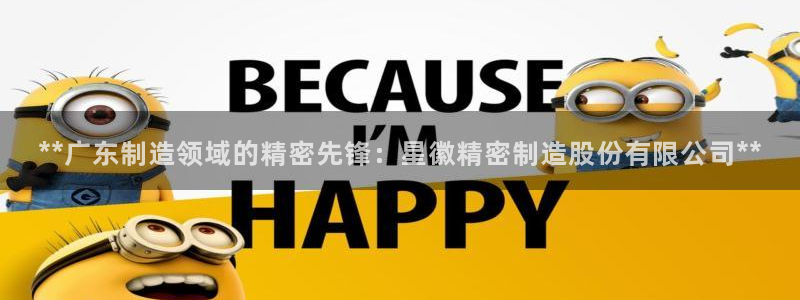 彩神V集团有限公司：**广东制造领域的精密先锋：星徽精密制造股份有限公司**