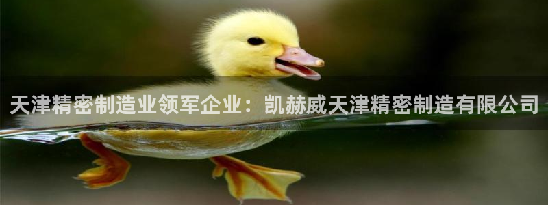 彩神旗下有哪些平台可以看：天津精密制造业领军企业：凯赫威天津精密制造有限公司
