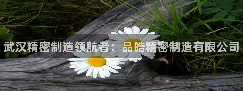 彩神V官网