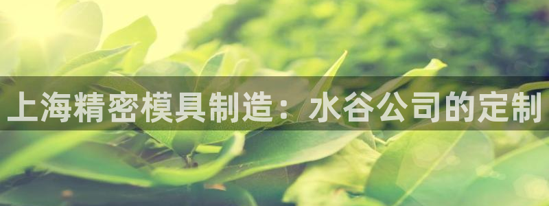 彩神VII购彩中心：上海精密模具制造：水谷公司的定制