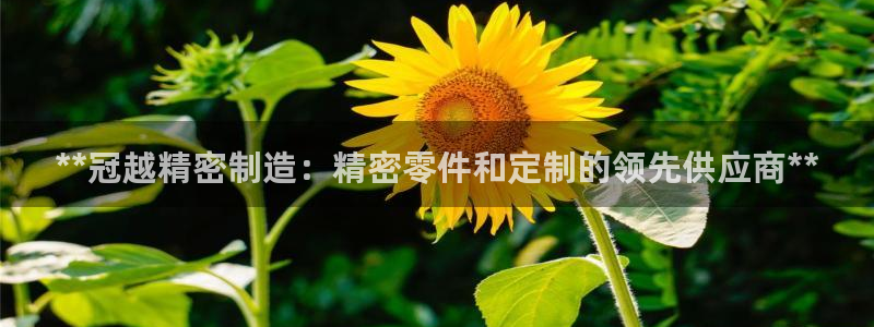 彩神viii官网：**冠越精密制造：精密零件和定制的领先供应商**