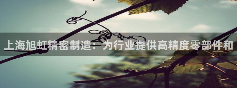 彩神购彩-购彩大厅入口36fr：上海旭虹精密制造：为行业提供高精度零部件和