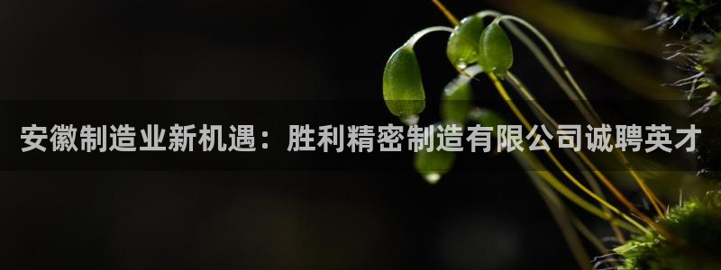 彩神争霸平台：安徽制造业新机遇：胜利精密制造有限公司诚聘英才