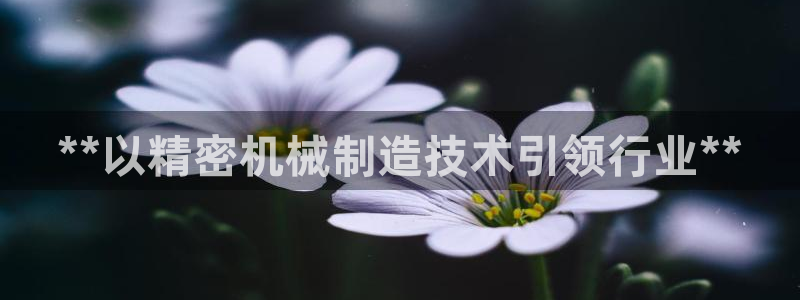 彩神v8iii