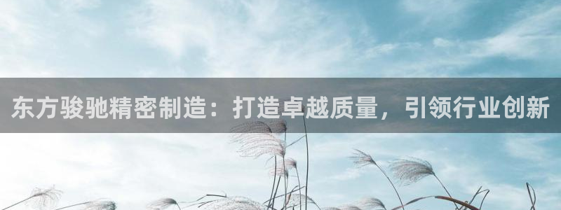 彩神购彩购彩大厅入口v：东方骏驰精密制造：打造卓越质量，引领行业创新