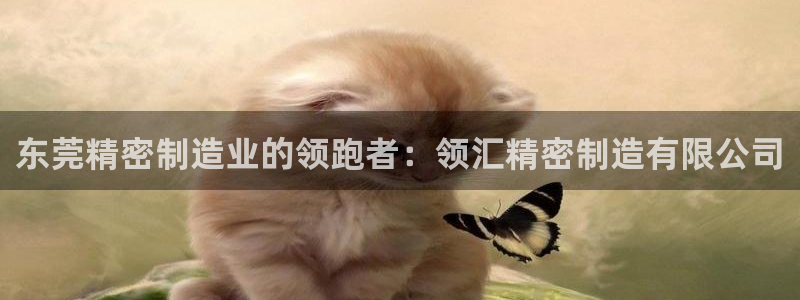 彩神v8下载app：东莞精密制造业的领跑者：领汇精密制造有限公司