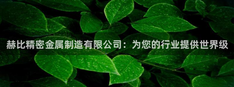彩神是真的吗：赫比精密金属制造有限公司：为您的行业提供世界级