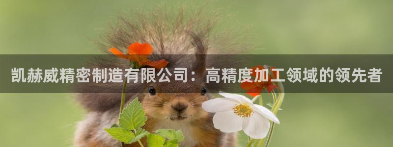 彩神v8是一个什么平台啊：凯赫威精密制造有限公司：高精度加工领域的领先者