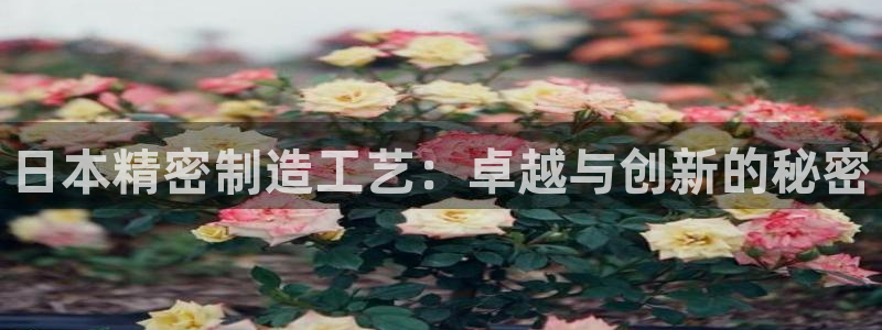 彩神平台能提现吗：日本精密制造工艺：卓越与创新的秘密