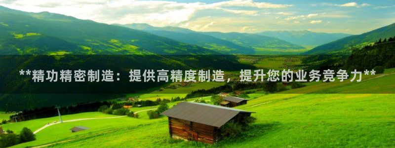 彩神x平台靠什么盈利：**精功精密制造：提供高精度制造，提升您的业务竞争力**