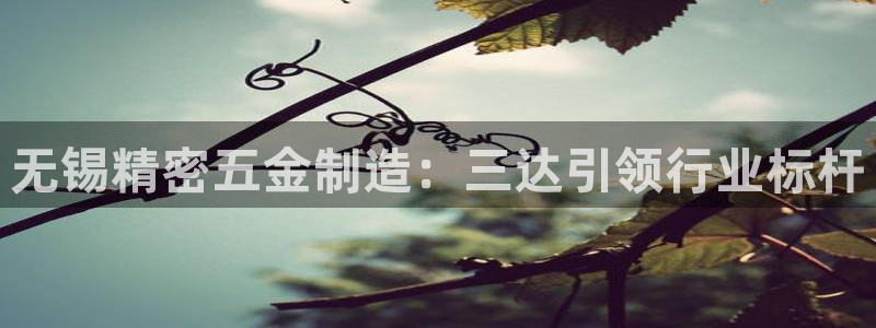 彩神是正规平台吗是真的吗：无锡精密五金制造：三达引领行业标杆