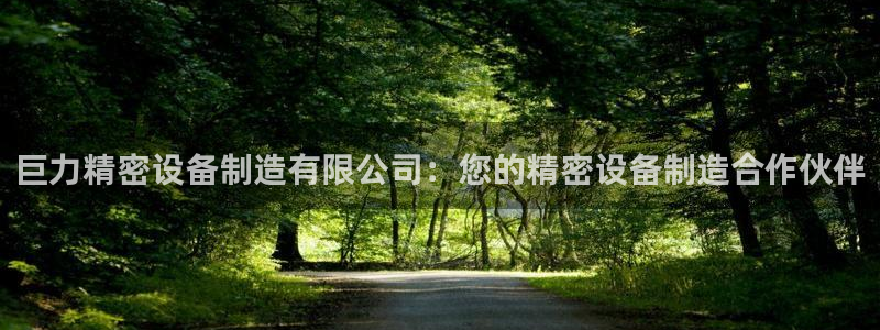 彩神购彩-购彩大厅入口下载：巨力精密设备制造有限公司：您的精密设备制造合作伙伴