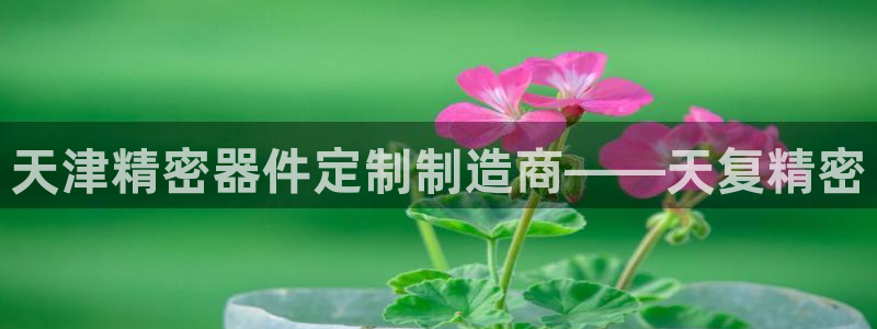 彩神vii官网：天津精密器件定制制造商——天复精密