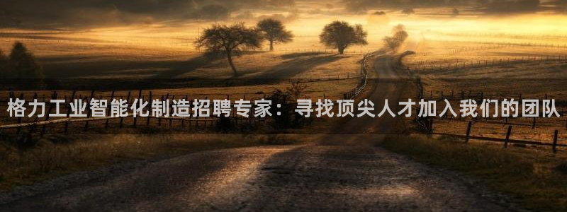 彩神购彩-购彩大厅入口：格力工业智能化制造招聘专家：寻找顶尖人才加入我们的团队